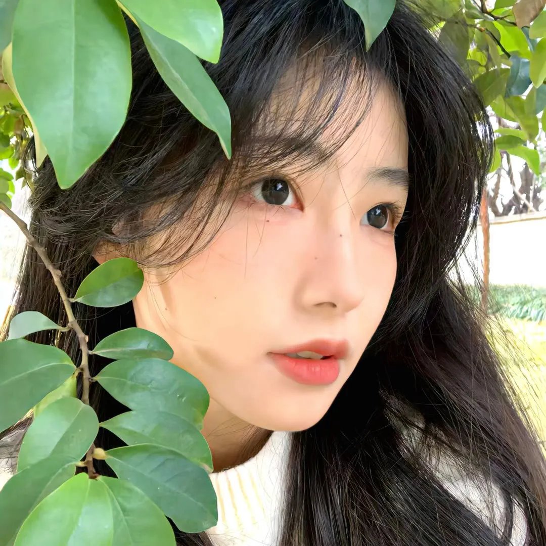 美食家